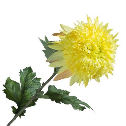 Coco Maison Chrysanthemum H75cm